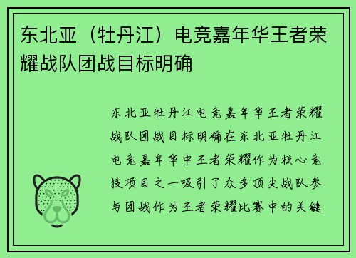 东北亚（牡丹江）电竞嘉年华王者荣耀战队团战目标明确
